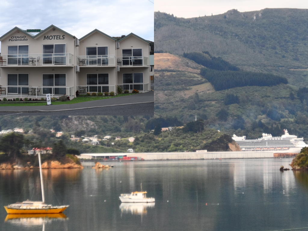 Otago Peninsula Motel Portobello Екстериор снимка